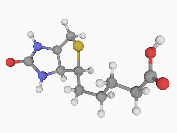 生物素的分子结构